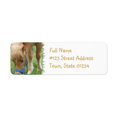 Shetland Pony Mailing Label