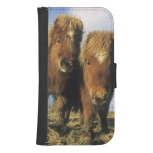 Shetland Pony, mainland Shetland Islands, Galaxy S4 Wallet Case