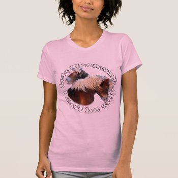 Shetland Pony Moonwalk T-shirt by customizedgifts at Zazzle