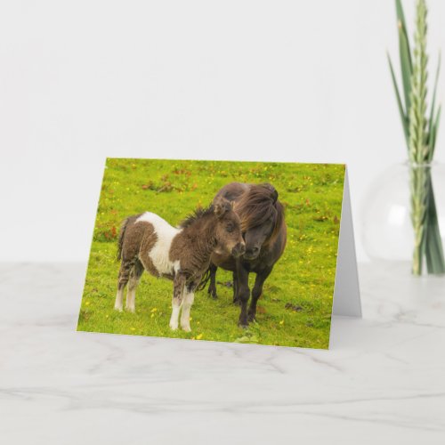 Shetland Pony Mother and Offspring Card