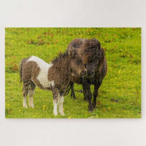 Shetland Pony Mother and Offspring Jigsaw Puzzle