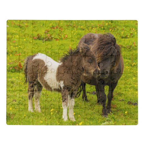 Shetland Pony Mother and Offspring Jigsaw Puzzle