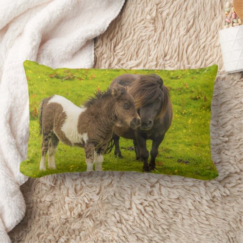 Shetland Pony Mother and Offspring Lumbar Pillow