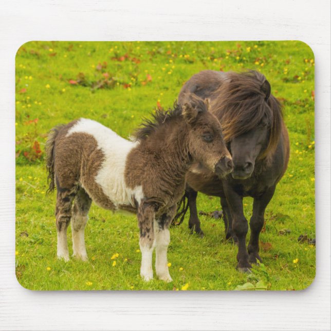 Shetland Pony Mother and Offspring Mouse Pad (Front)