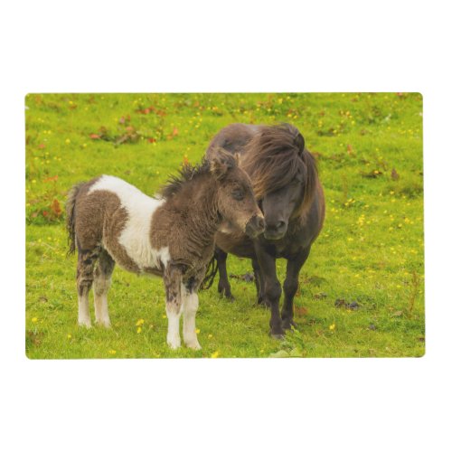 Shetland Pony Mother and Offspring Placemat