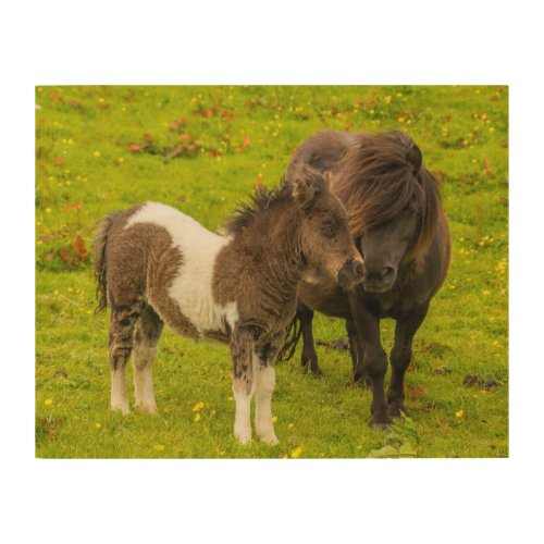 Shetland Pony Mother and Offspring Wood Wall Art