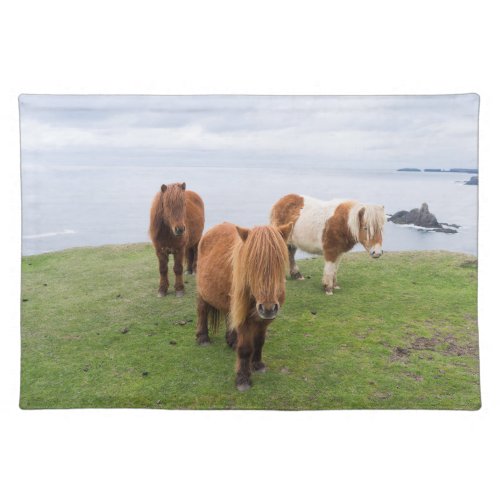 Shetland Pony on Pasture Near High Cliffs Cloth Placemat