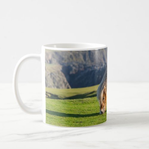Shetland Pony on Pasture Near High Cliffs Coffee Mug