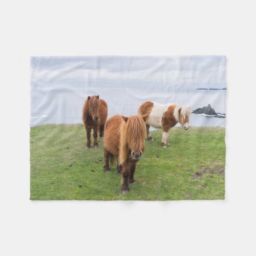 Shetland Pony on Pasture Near High Cliffs Fleece Blanket