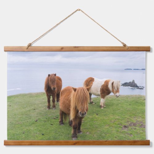 Shetland Pony on Pasture Near High Cliffs Hanging Tapestry