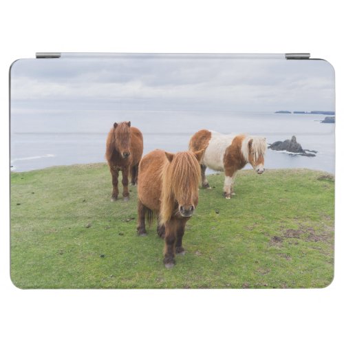 Shetland Pony on Pasture Near High Cliffs iPad Air Cover