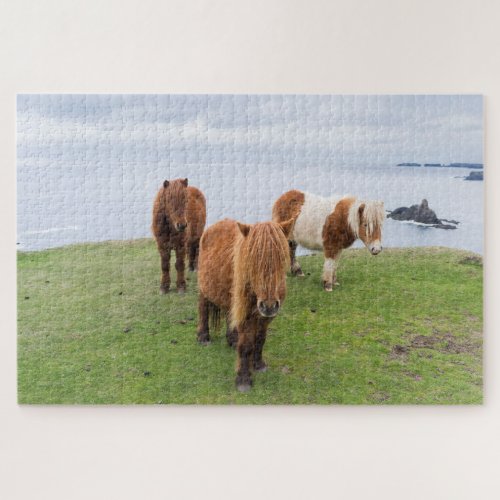 Shetland Pony on Pasture Near High Cliffs Jigsaw Puzzle