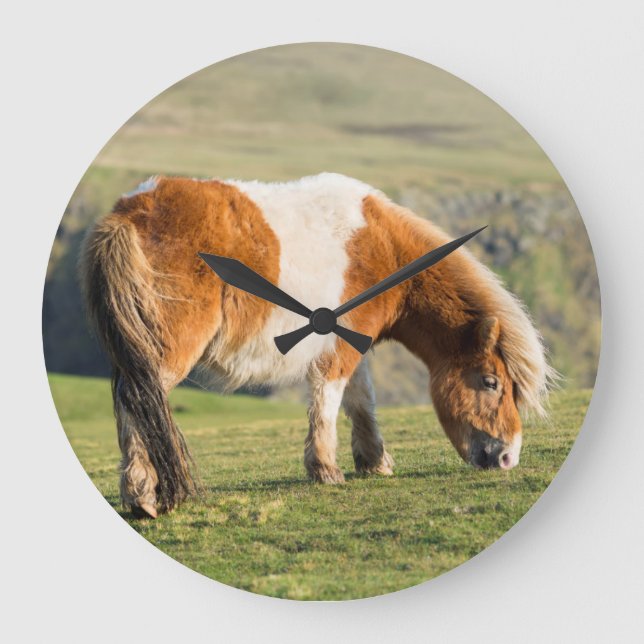 Shetland Pony On Pasture Near High Cliffs Large Clock (Front)