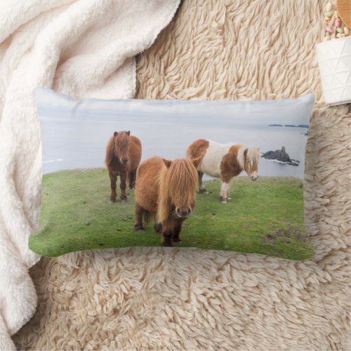 Shetland Pony on Pasture Near High Cliffs Lumbar Pillow