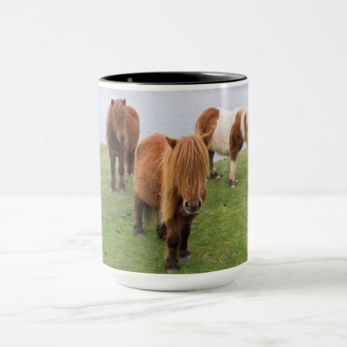 Shetland Pony on Pasture Near High Cliffs Mug