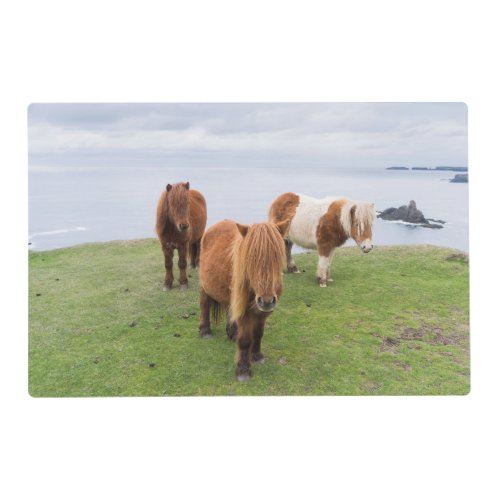 Shetland Pony on Pasture Near High Cliffs Placemat