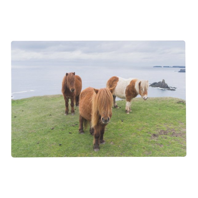 Shetland Pony on Pasture Near High Cliffs Placemat (Front)