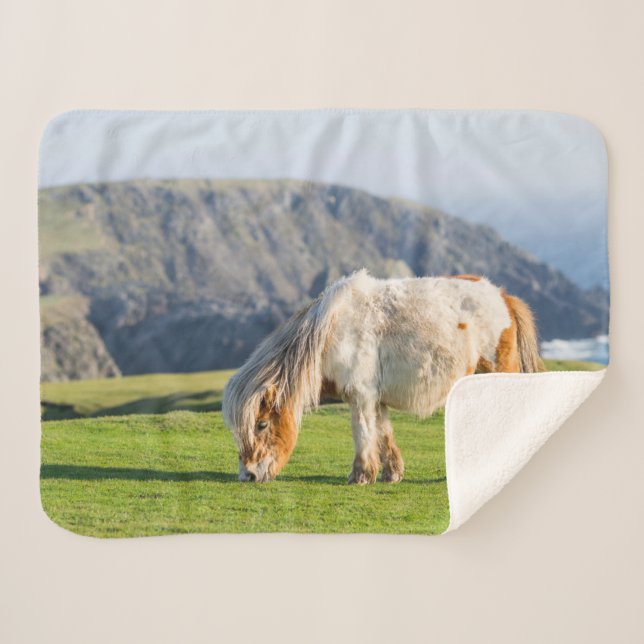 Shetland Pony on Pasture Near High Cliffs Sherpa Blanket (Front (Horizontal))
