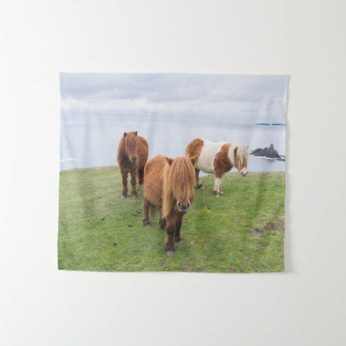 Shetland Pony on Pasture Near High Cliffs Tapestry