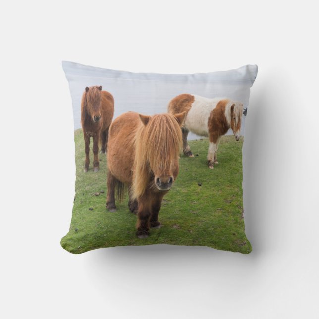 Shetland Pony on Pasture Near High Cliffs Throw Pillow (Front)