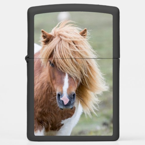 Shetland Pony on the Island of Unst Zippo Lighter