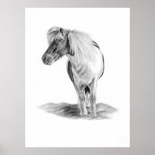 Shetland Pony Poster