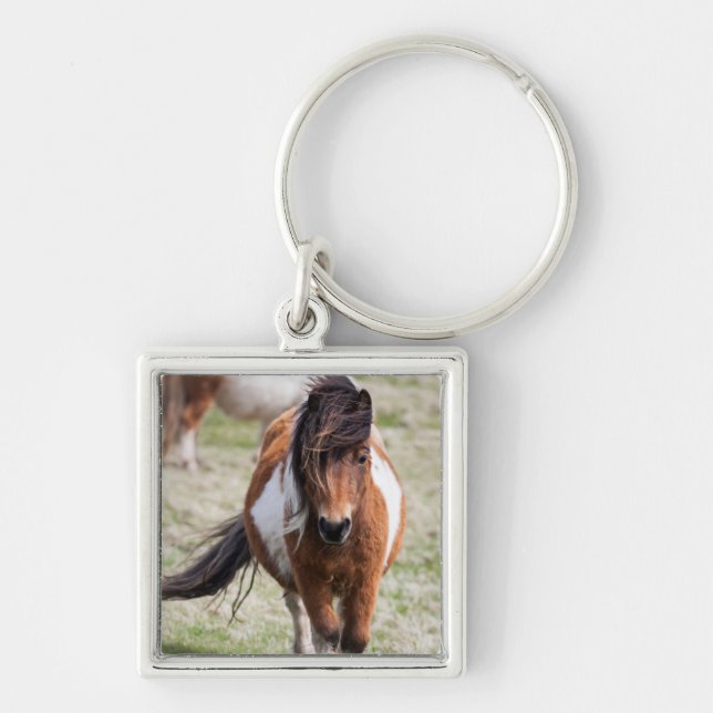Shetland Pony, Shetland Islands Keychain (Front)