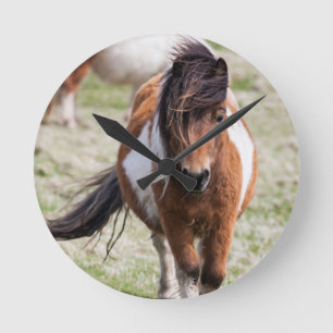 Shetland Pony, Shetland Islands Round Clock