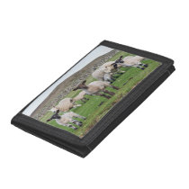 Shetland Sheep 5 Tri-fold Wallet