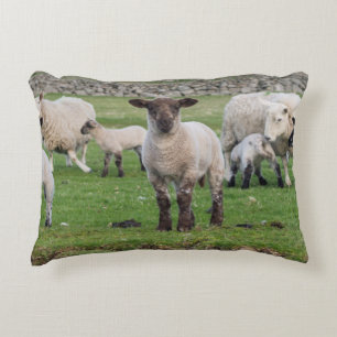 Shetland Sheep Decorative Pillow