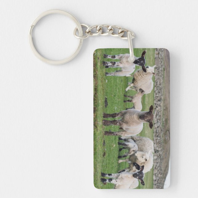 Shetland Sheep Keychain (Front)