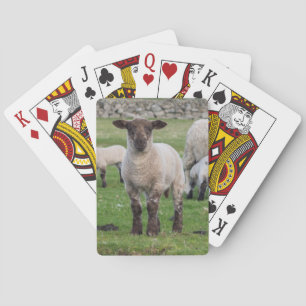 Shetland Sheep Poker Cards
