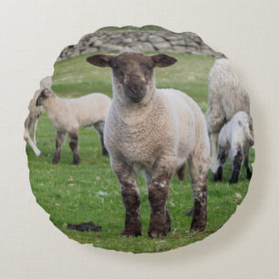 Shetland Sheep Round Pillow
