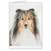 Shetland Sheepdog (Front)
