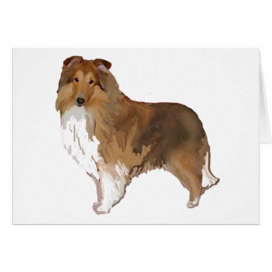 Shetland Sheepdog (Front Horizontal)