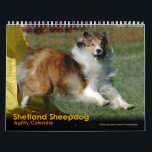 Shetland Sheepdog Agility Calendar<br><div class="desc">Enjoy every day with this 12-month,  Shetland Sheepdog calendar. You'll spend each month with a different Sheltie in action on the agility course courtesy of Karen Hocker Photography. This Sheltie calendar is perfect for any fan of this dynamic,  herding breed.</div>