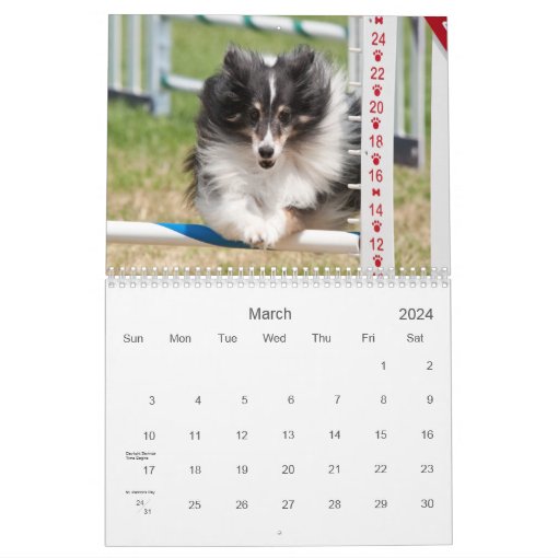 Shetland Sheepdog Agility Calendar Zazzle
