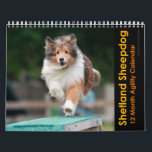 Shetland Sheepdog Agility Calendar<br><div class="desc">Spend the year with 12 outstanding Shetland Sheepdogs in action on the agility course. You can enjoy Shelties on the dogwalk,  seesaw,  and a-frame,  in the weave poles or leaping over jumps. Featuring photos from Karen Hocker Photography,  this calendar is perfect for any fan of this dynamic,  herding breed.</div>