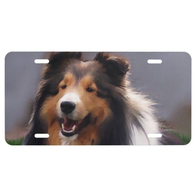 Shetland Sheepdog Art License Plate (Front)