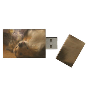 Shetland Sheepdog Begging Wood Flash Drive