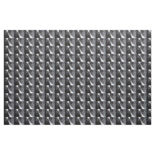 shetland sheepdog black and white eyes fabric