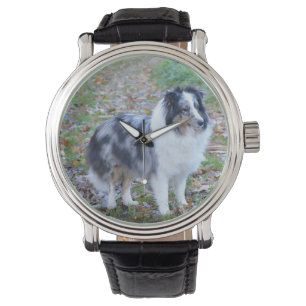 Shetland Sheepdog Blue Merle Watch
