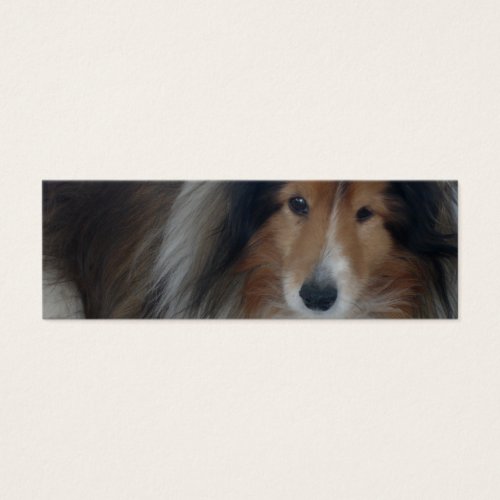 Shetland Sheepdog Bookmark Business Card Templates