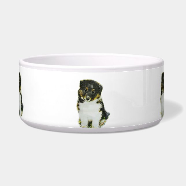 Shetland Sheepdog Bowl (Front)