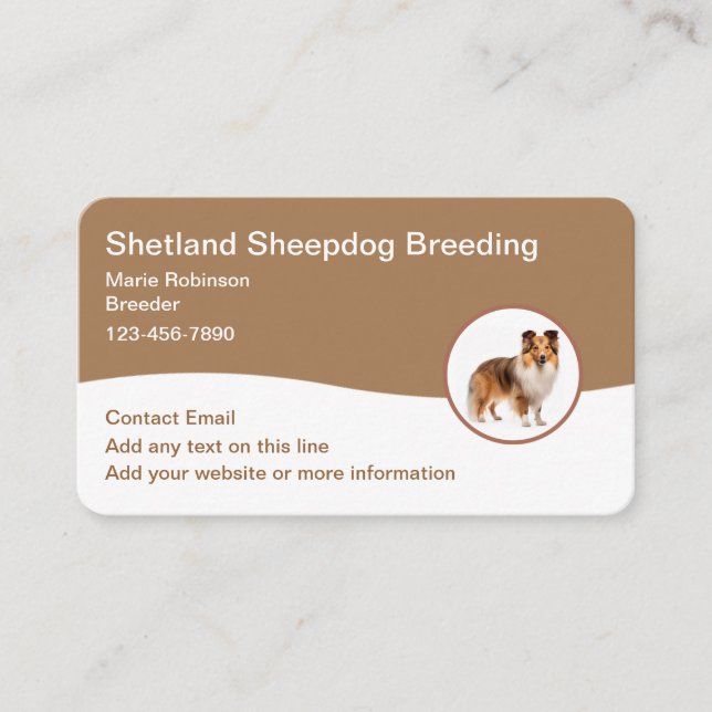Shetland Sheepdog Breeder Modern Business Cards  (Front)