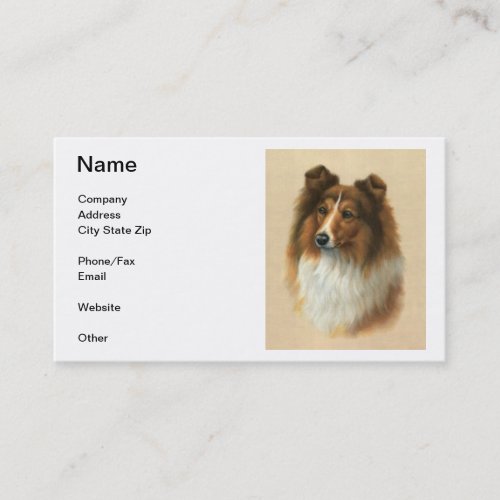 Shetland Sheepdog Business Cards