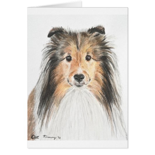 Shetland Sheepdog Cards (Front)