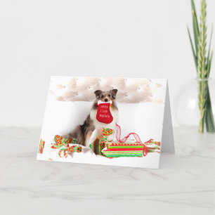 Shetland Sheepdog Christmas Greeting Card