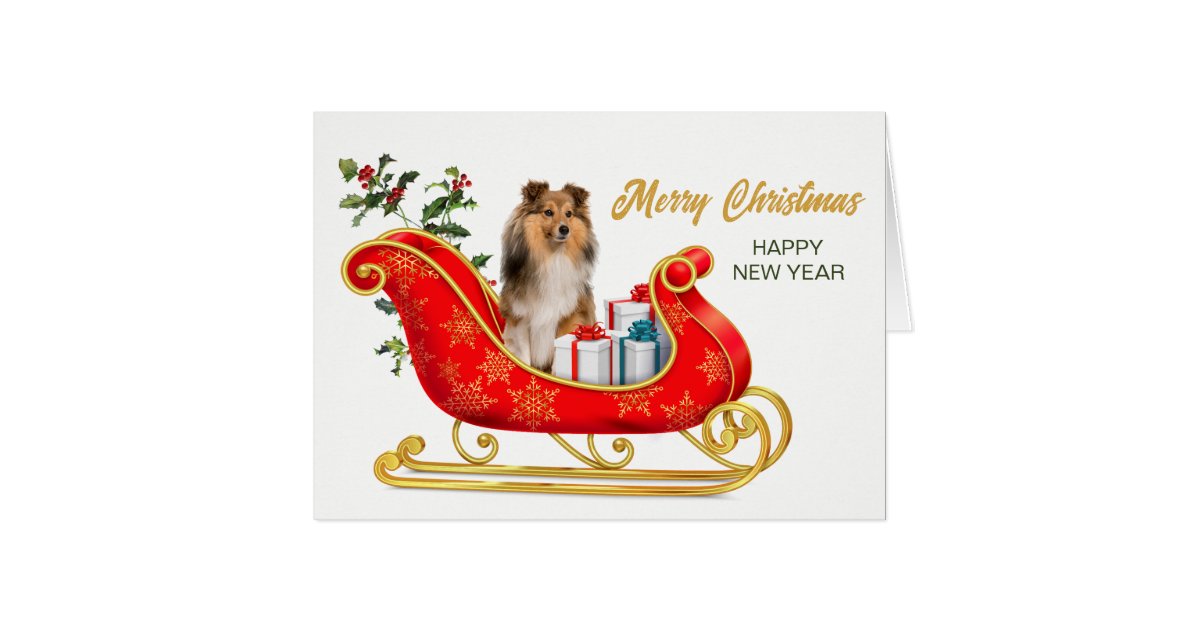 Shetland Sheepdog Christmas Sleigh Card | Zazzle