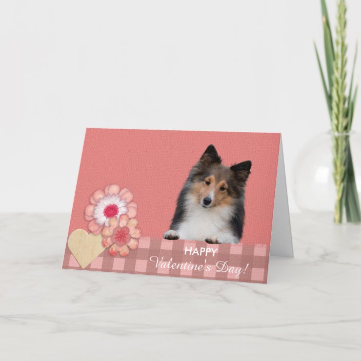 Shetland Sheepdog Cute Dog Valentine S Day Card Zazzle Com